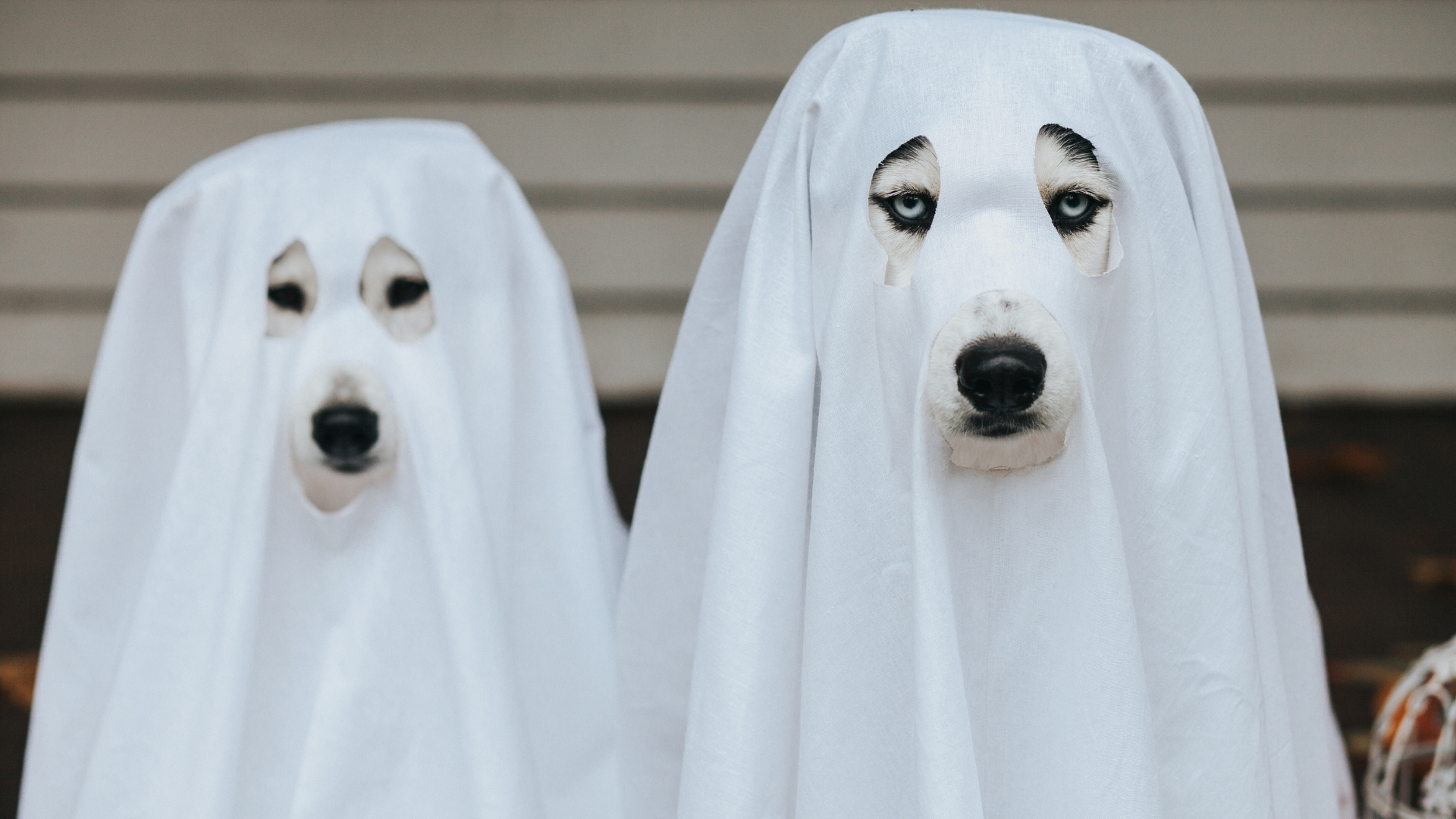 農曆七月2025鬼門開時間 農曆七月2025鬼門開時間